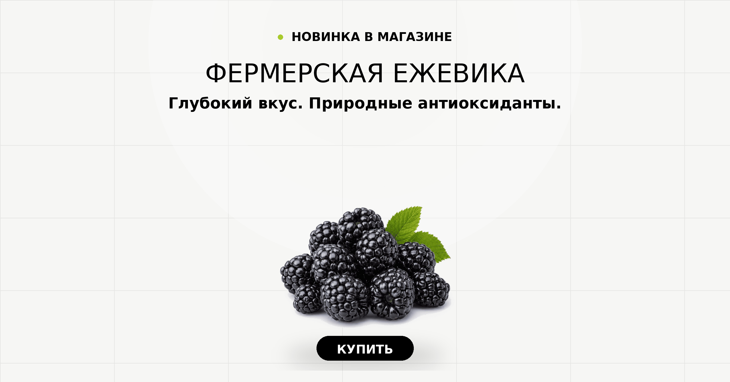 Фермерская ежевика. Глубокий вкус и природные антиоксиданты.