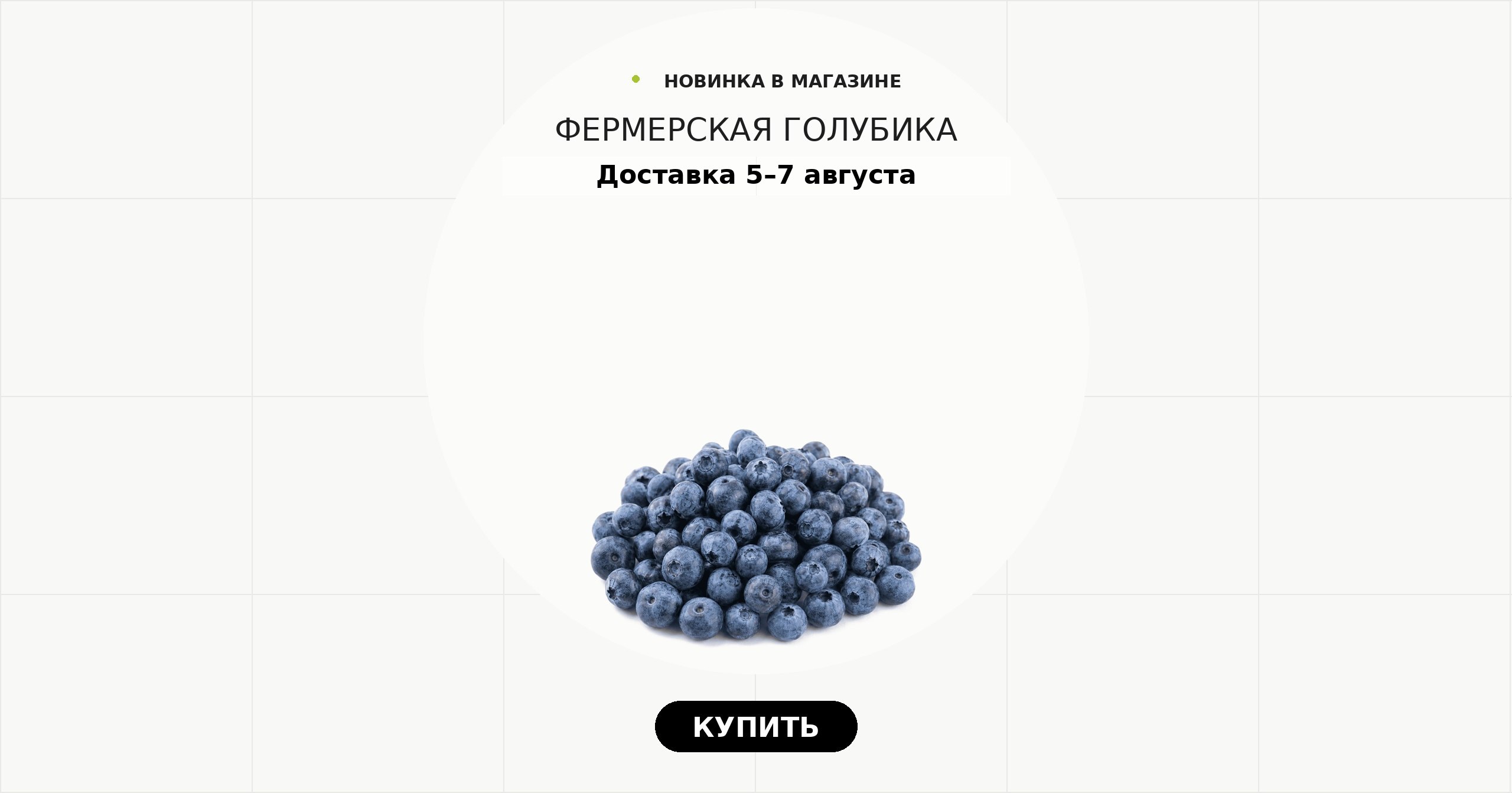 Фермерская голубика. Доставка 5–7 августа.
