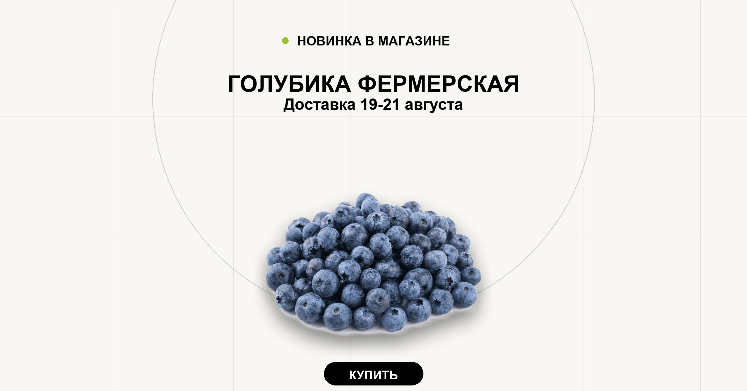 Голубика фермерская. Доставка 19-21 августа.