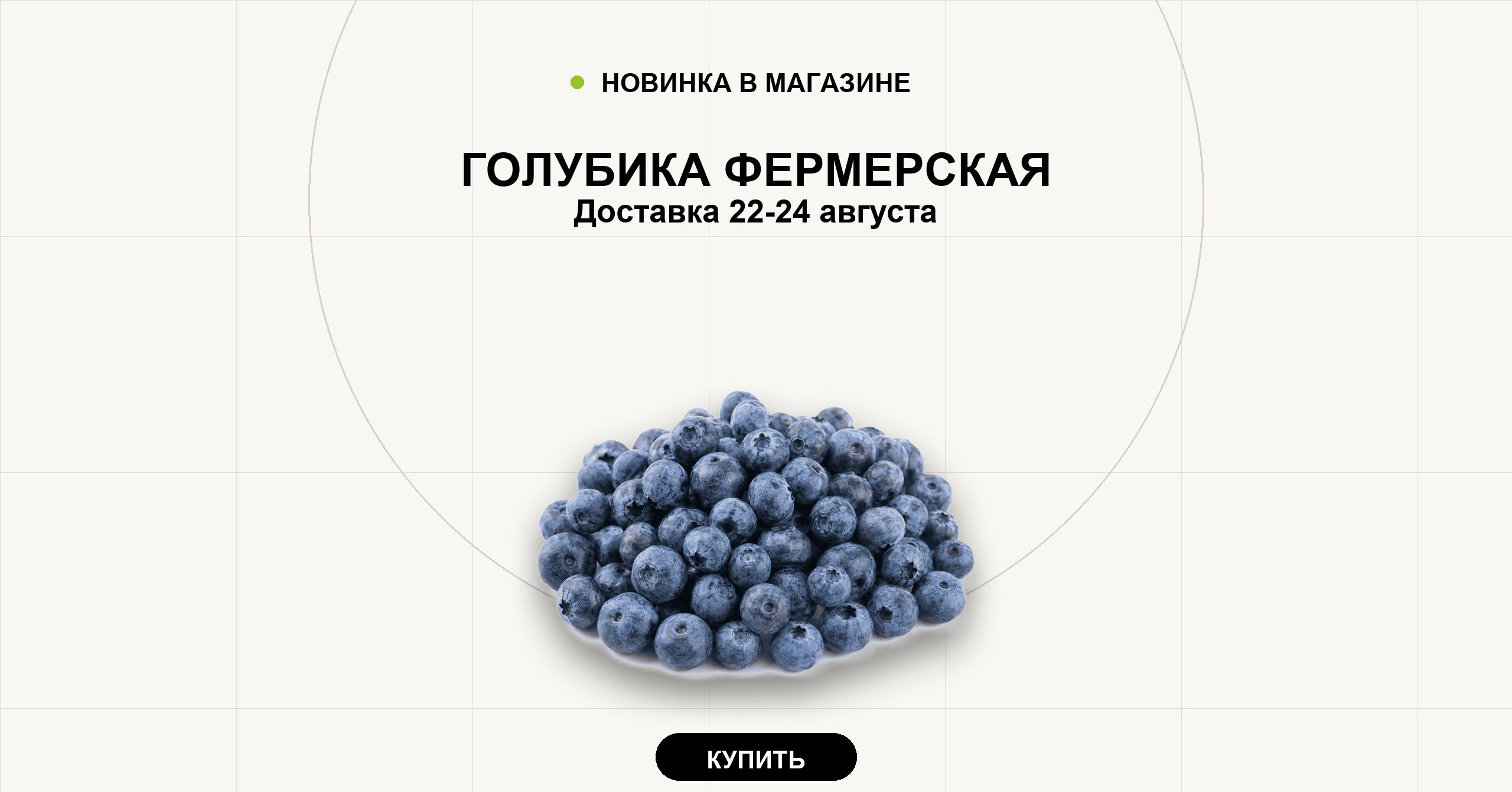 Голубика фермерская. Доставка 22-24 августа.
