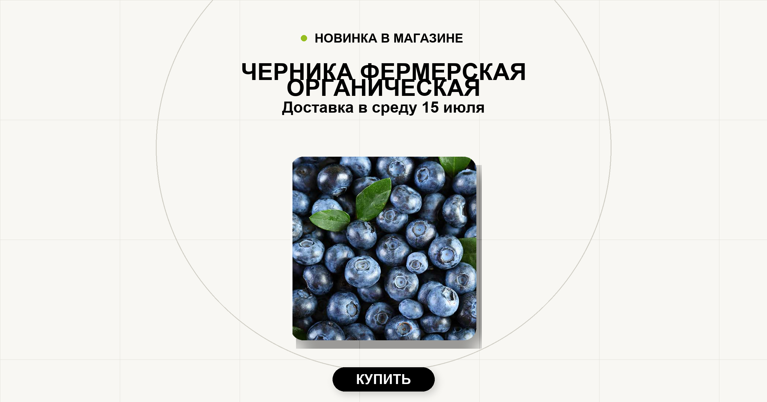 Черника фермерская органическая. Доставка в среду 15 июля.