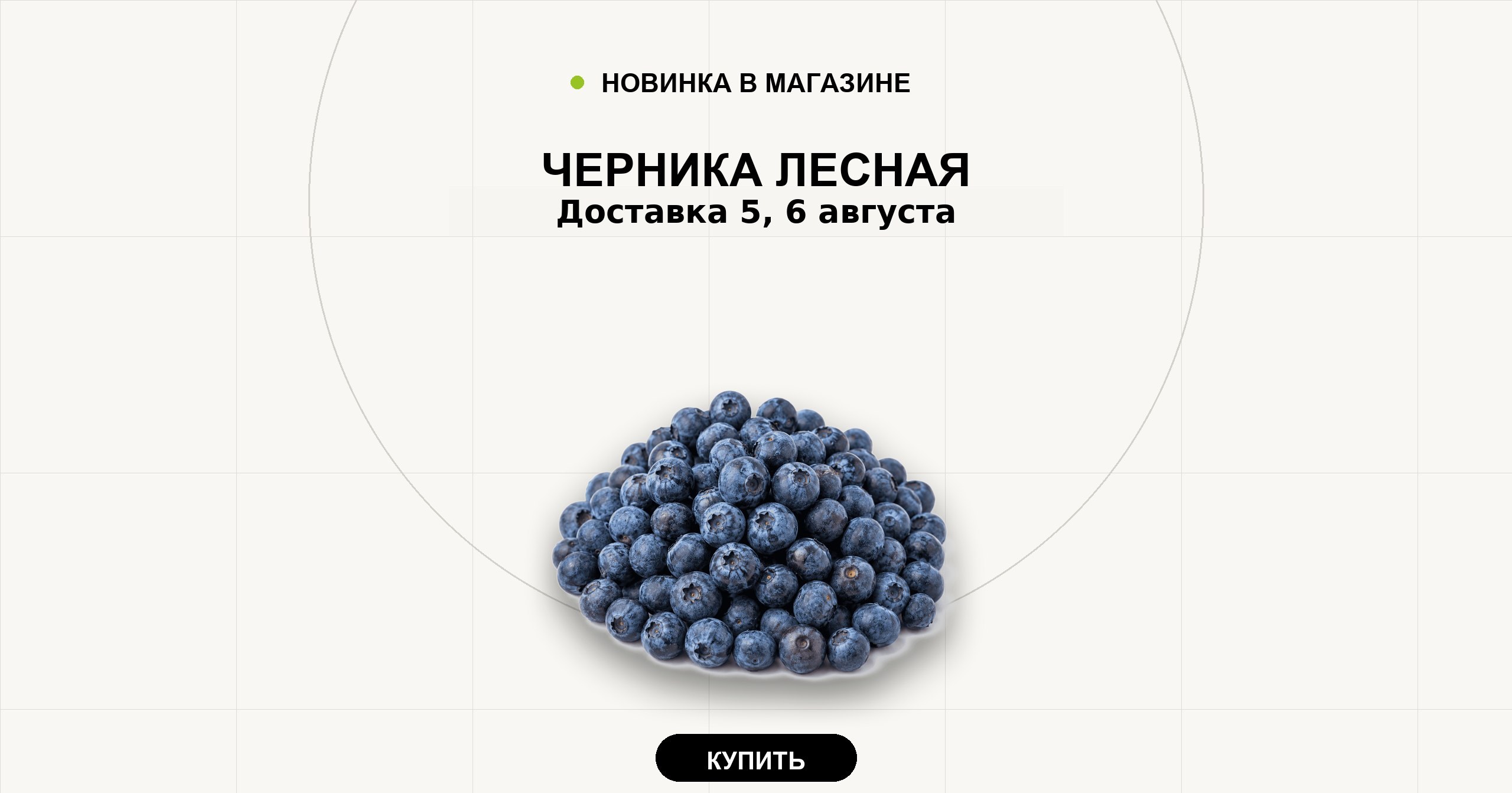 Черника лесная. Доставка 5, 6 августа.